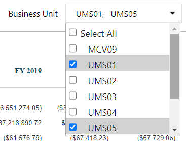 screenshot of checkbox slicer