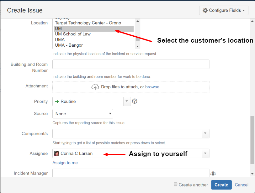 Image of Create Issue JIRA dialogue box with location and assignee