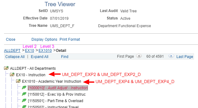 Image of tree viewer expanded
